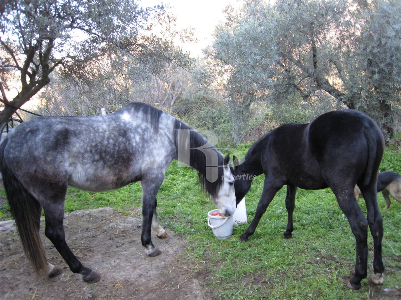 4 quarto Quinta/Casa Rural para venda em Orgiva com piscina garagem - 400 000 € (Ref: 5919742)