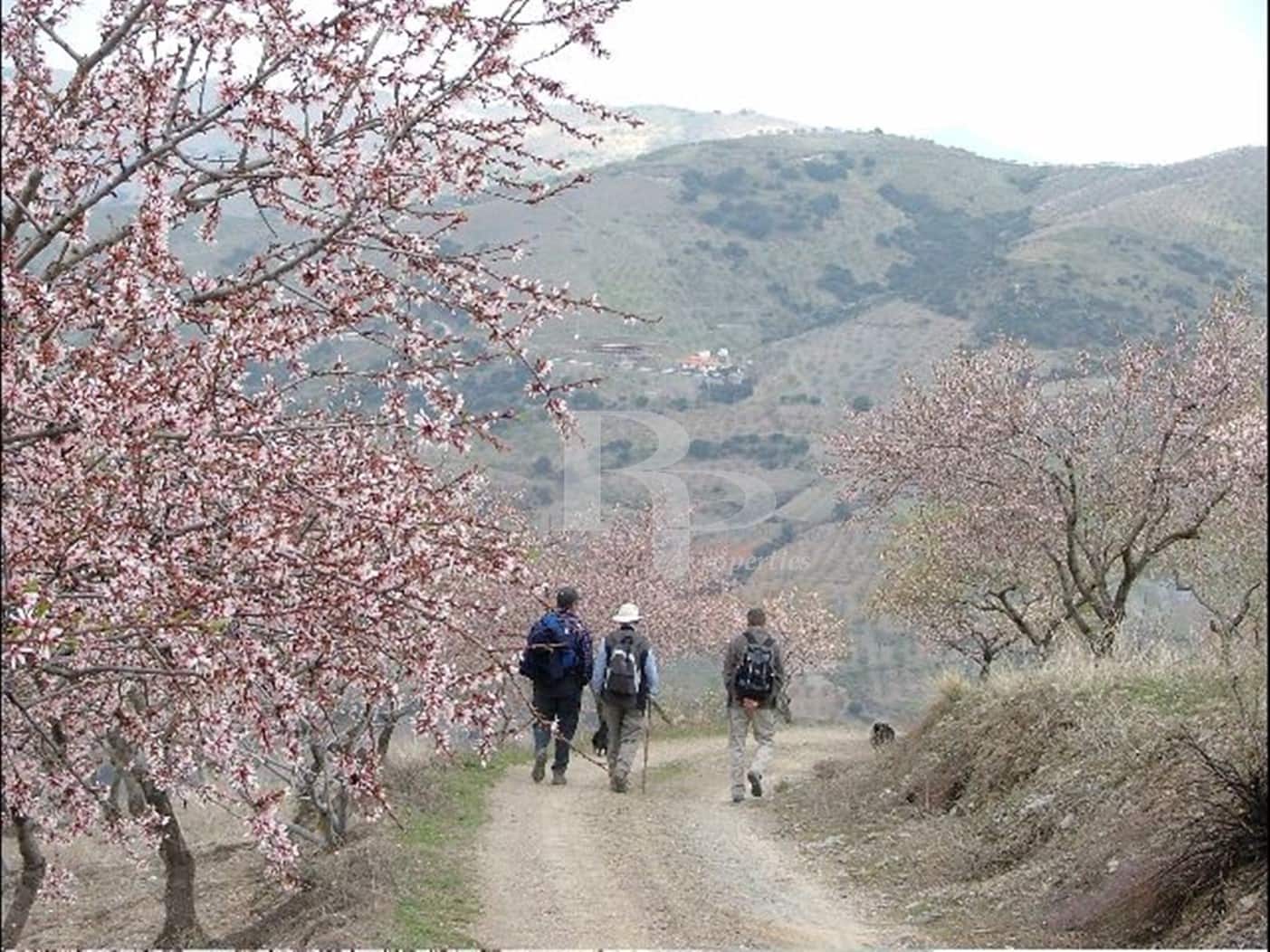 4 quarto Quinta/Casa Rural para venda em Orgiva com piscina garagem - 400 000 € (Ref: 5919742)