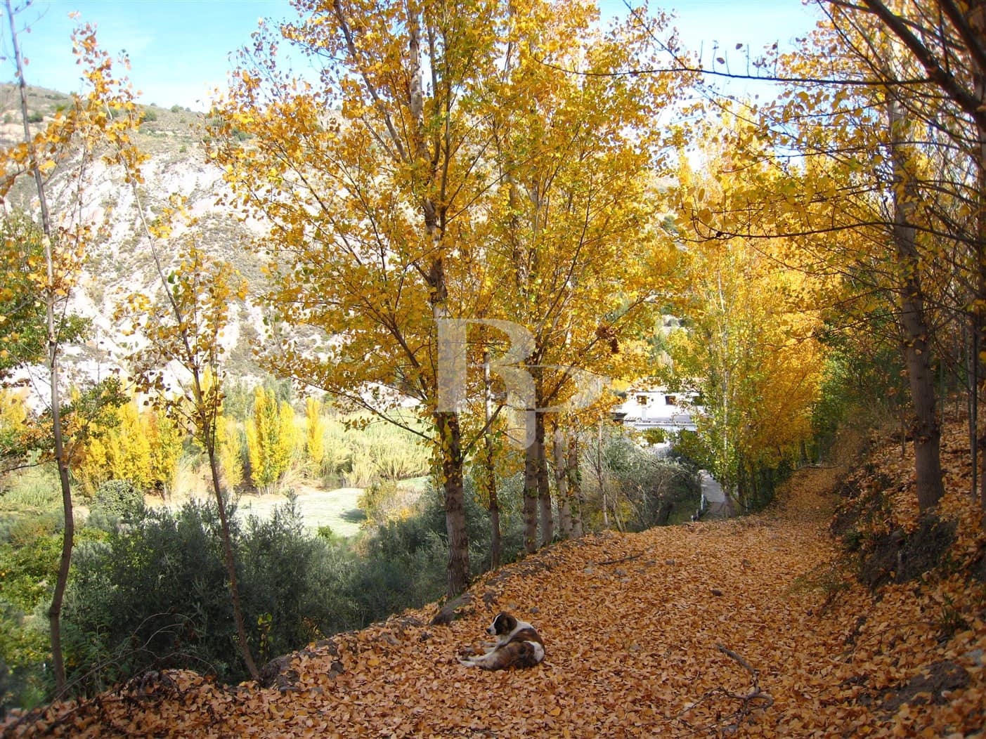 4 quarto Quinta/Casa Rural para venda em Orgiva com piscina garagem - 400 000 € (Ref: 5919742)