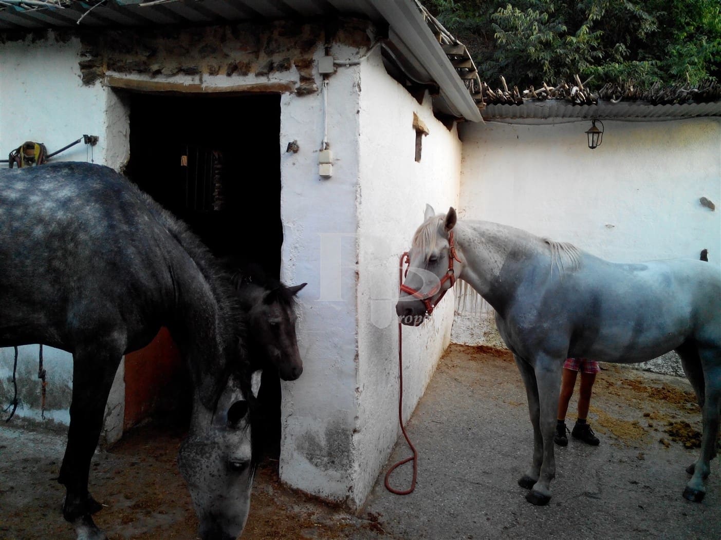 4 quarto Quinta/Casa Rural para venda em Orgiva com piscina garagem - 400 000 € (Ref: 5919742)
