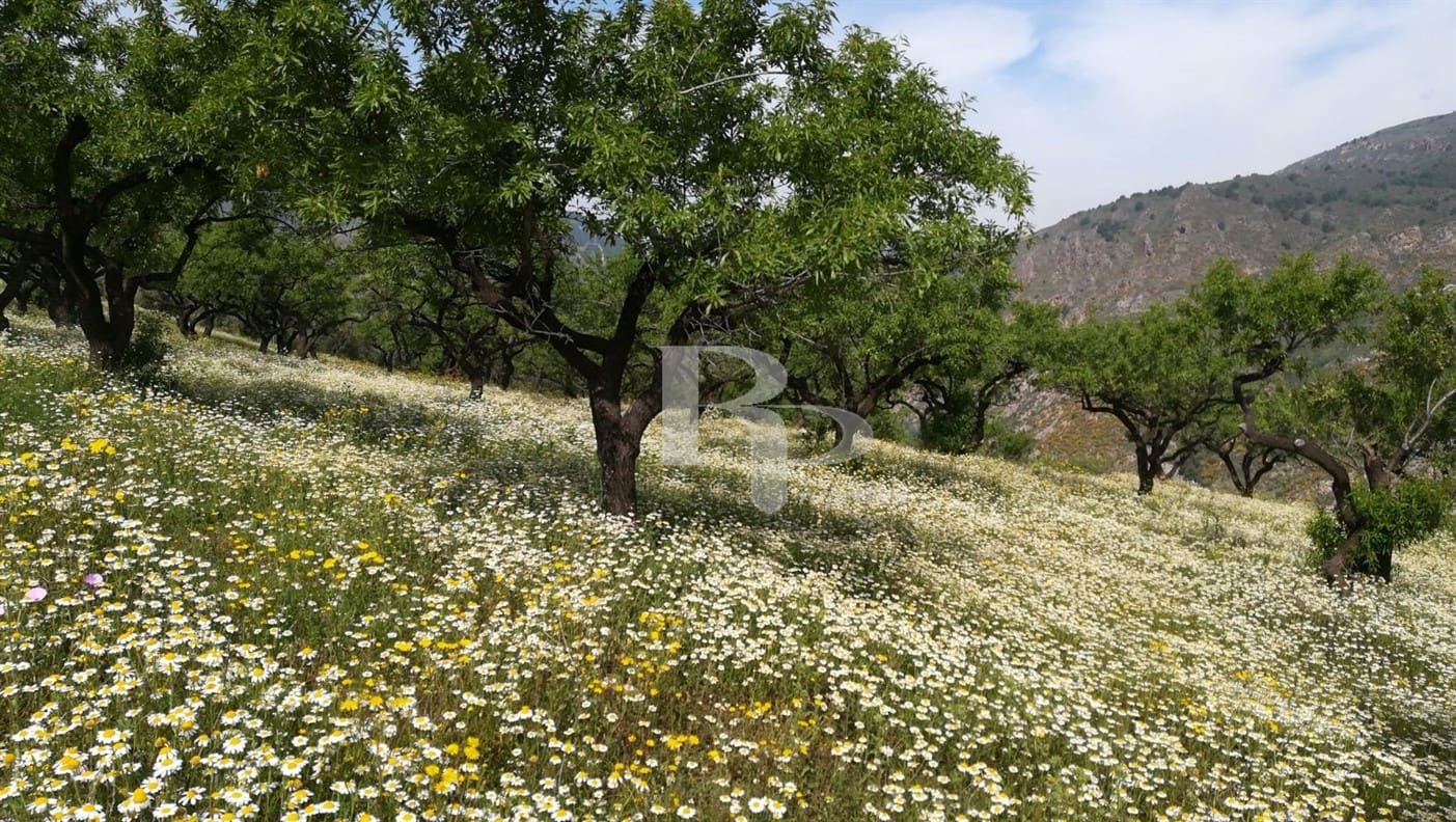 4 quarto Quinta/Casa Rural para venda em Orgiva com piscina garagem - 400 000 € (Ref: 5919742)