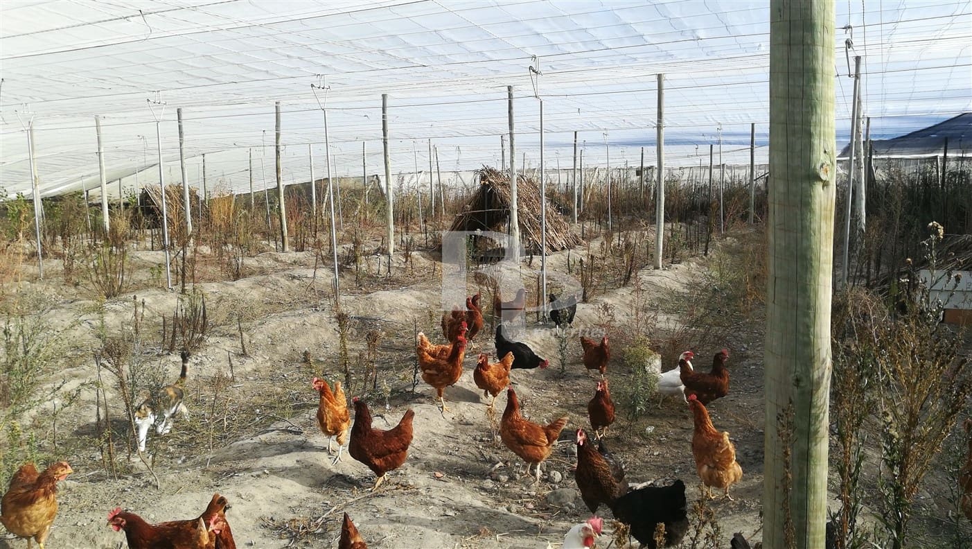 4 quarto Quinta/Casa Rural para venda em Orgiva com piscina garagem - 400 000 € (Ref: 5919742)