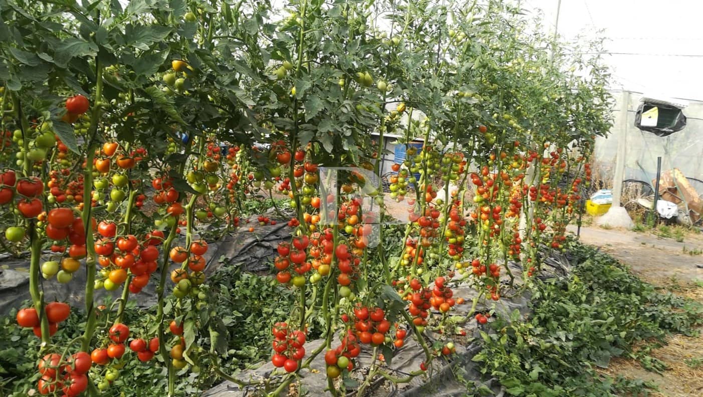 4 quarto Quinta/Casa Rural para venda em Orgiva com piscina garagem - 400 000 € (Ref: 5919742)