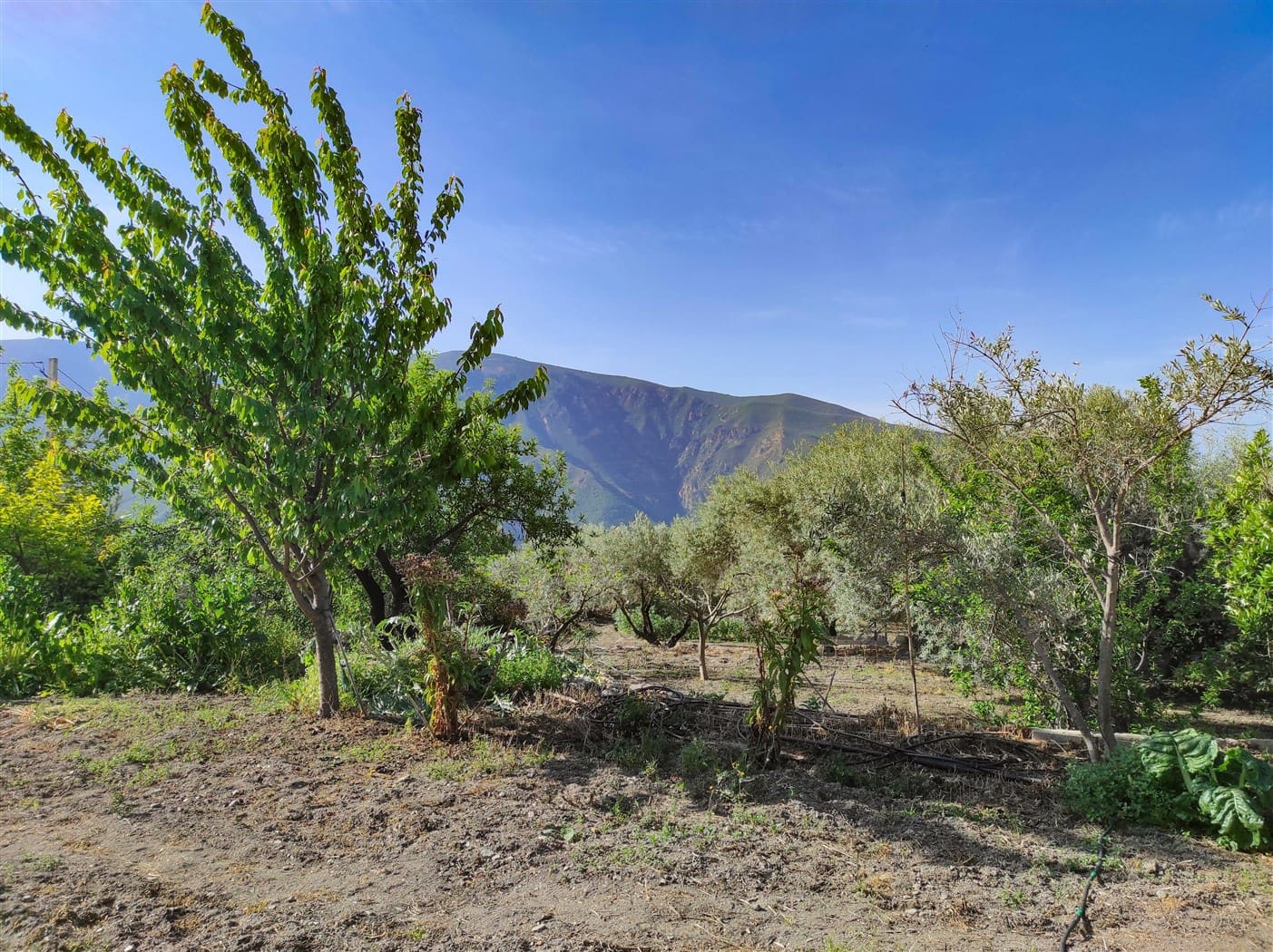 2 camera da letto Finca/Casa di Campagna in vendita in Orgiva - 210.000 € (Rif: 6006719)