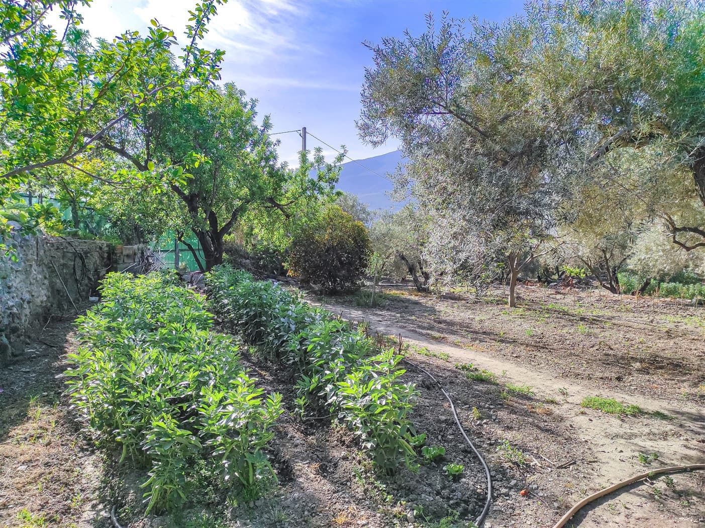 2 camera da letto Finca/Casa di Campagna in vendita in Orgiva - 210.000 € (Rif: 6006719)