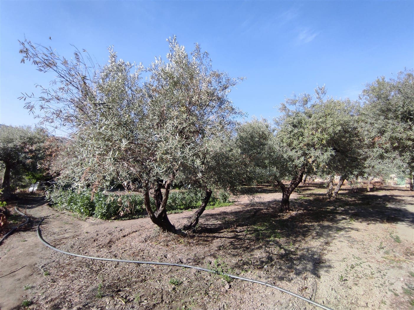 2 camera da letto Finca/Casa di Campagna in vendita in Orgiva - 210.000 € (Rif: 6006719)