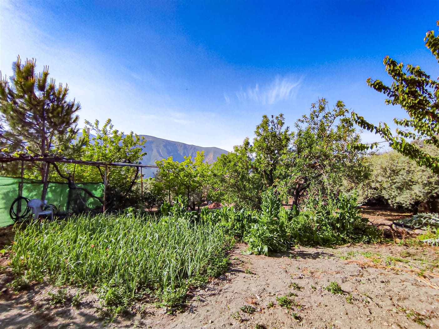 2 camera da letto Finca/Casa di Campagna in vendita in Orgiva - 210.000 € (Rif: 6006719)