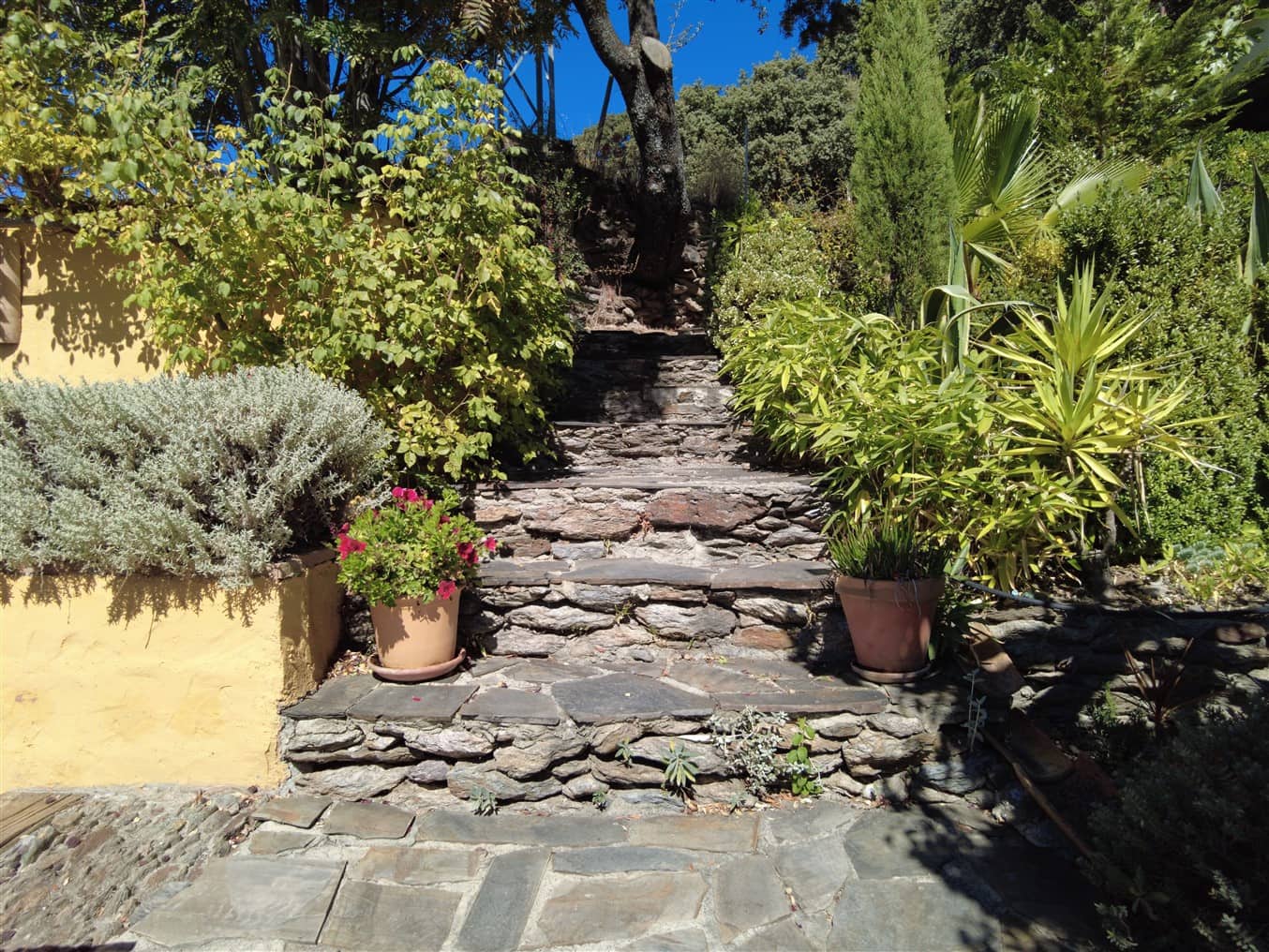 4 slaapkamer Finca/Landhuis te koop in Portugos - € 575.000 (Ref: 6391375)