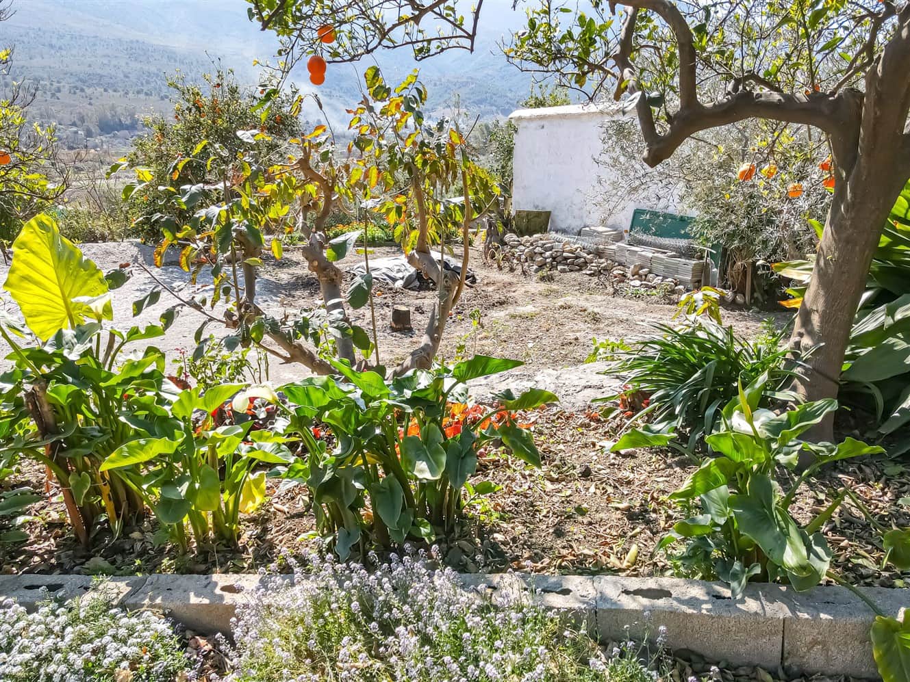 6 Zimmer Finca/Landgut zu verkaufen in Orgiva mit Pool Garage - 340.000 € (Ref: 6700988)