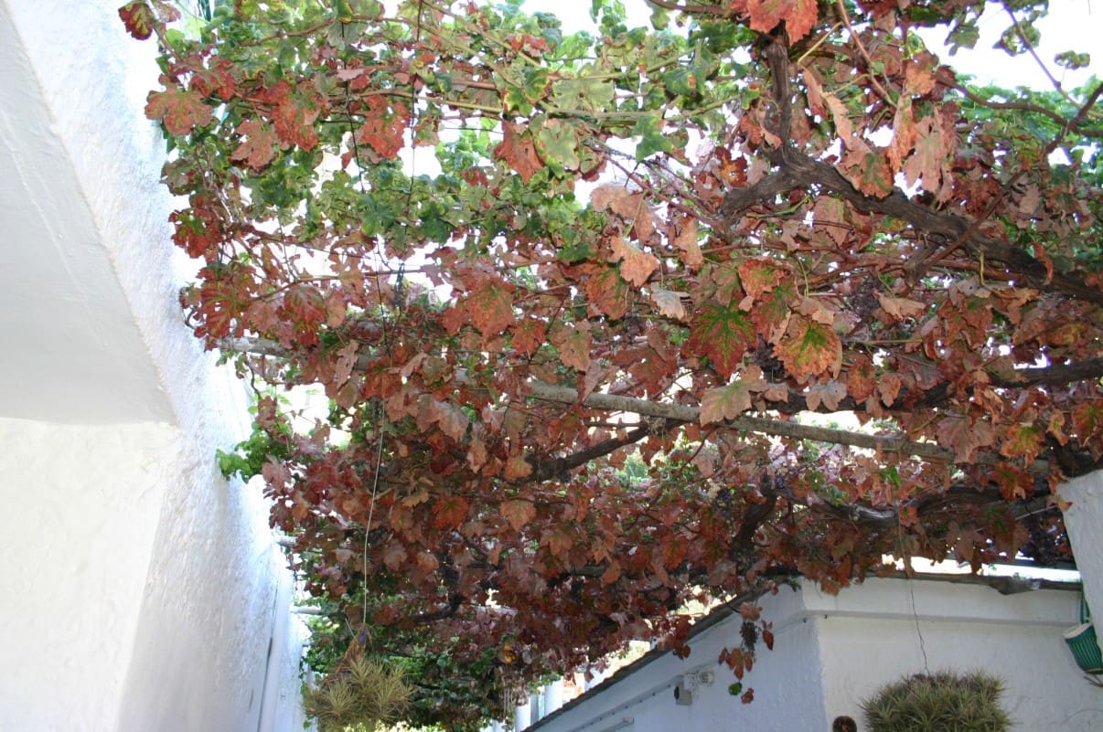 6 Zimmer Finca/Landgut zu verkaufen in Orgiva mit Pool Garage - 340.000 € (Ref: 6700988)