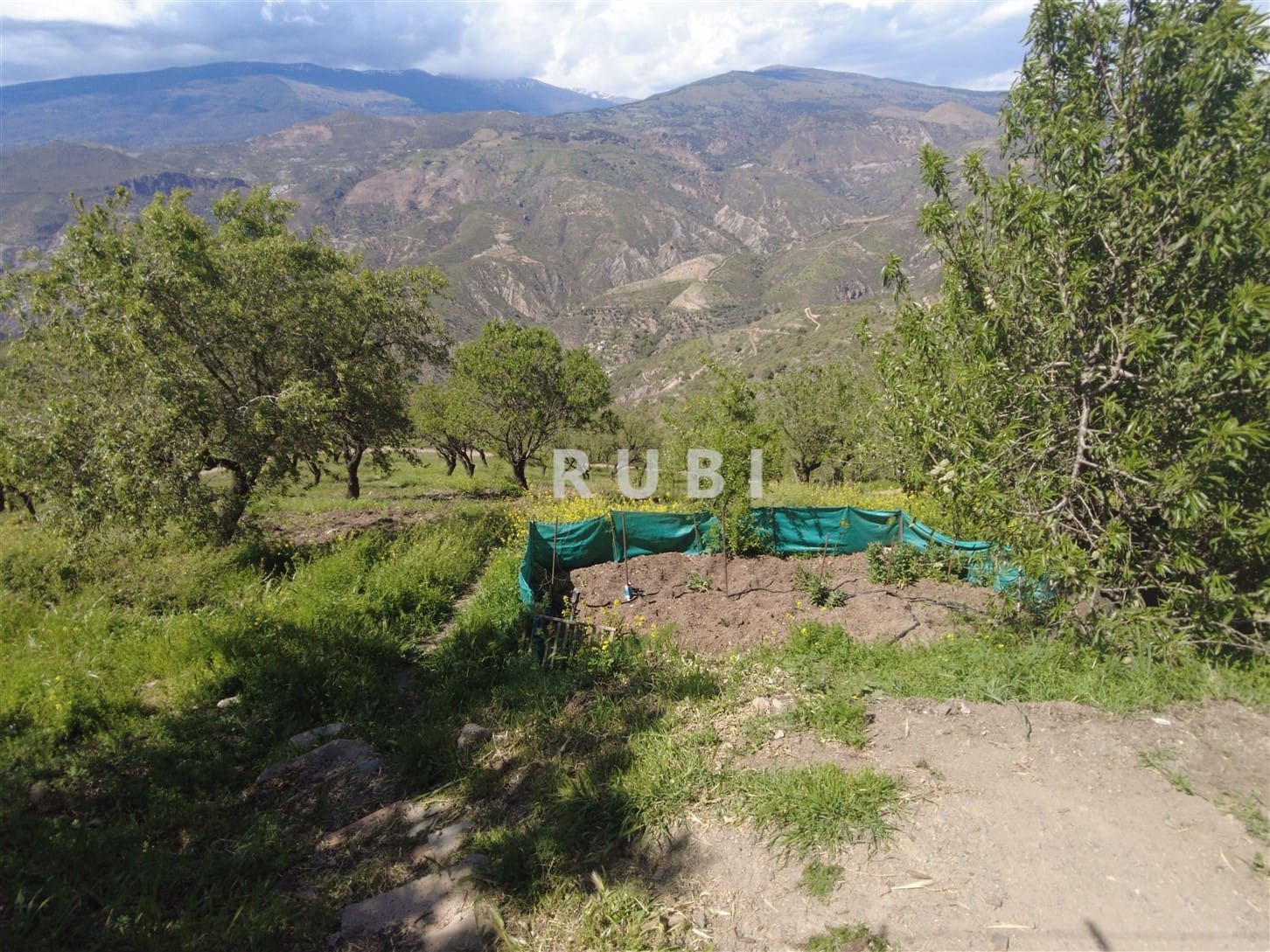 3 soveværelse Finca/Landehus til salg i Torvizcon - € 105.000 (Ref: 6837744)