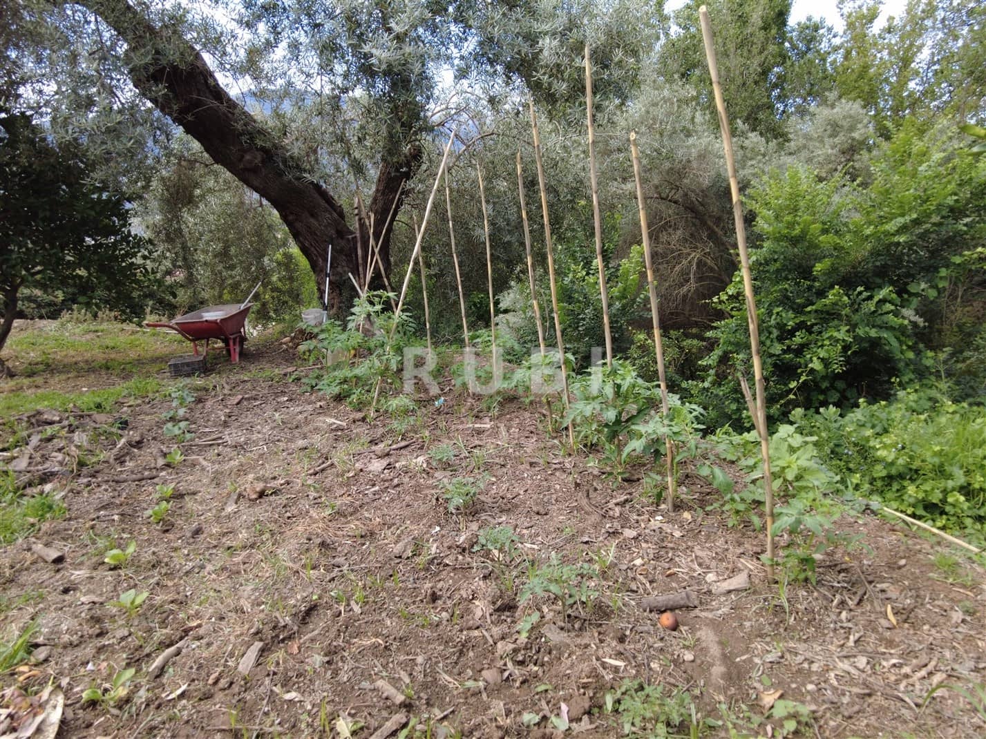 5 bedroom Finca/Country House for sale in Orgiva with pool garage - € 450,000 (Ref: 7660014)