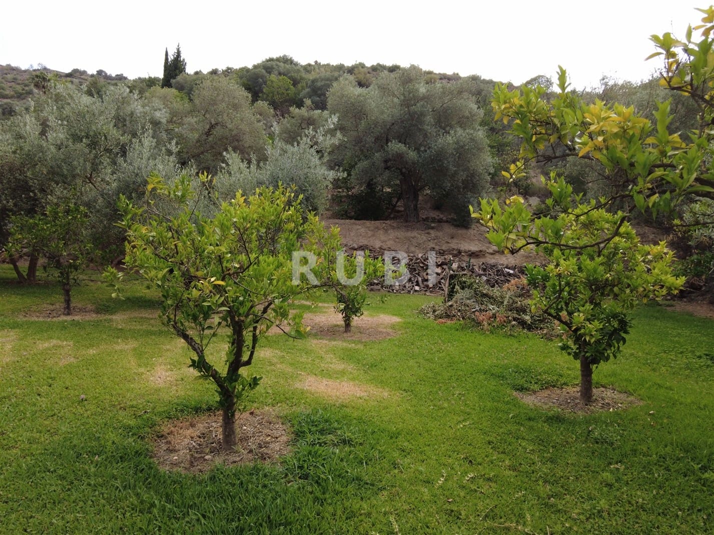 5 bedroom Finca/Country House for sale in Orgiva with pool garage - € 450,000 (Ref: 7660014)