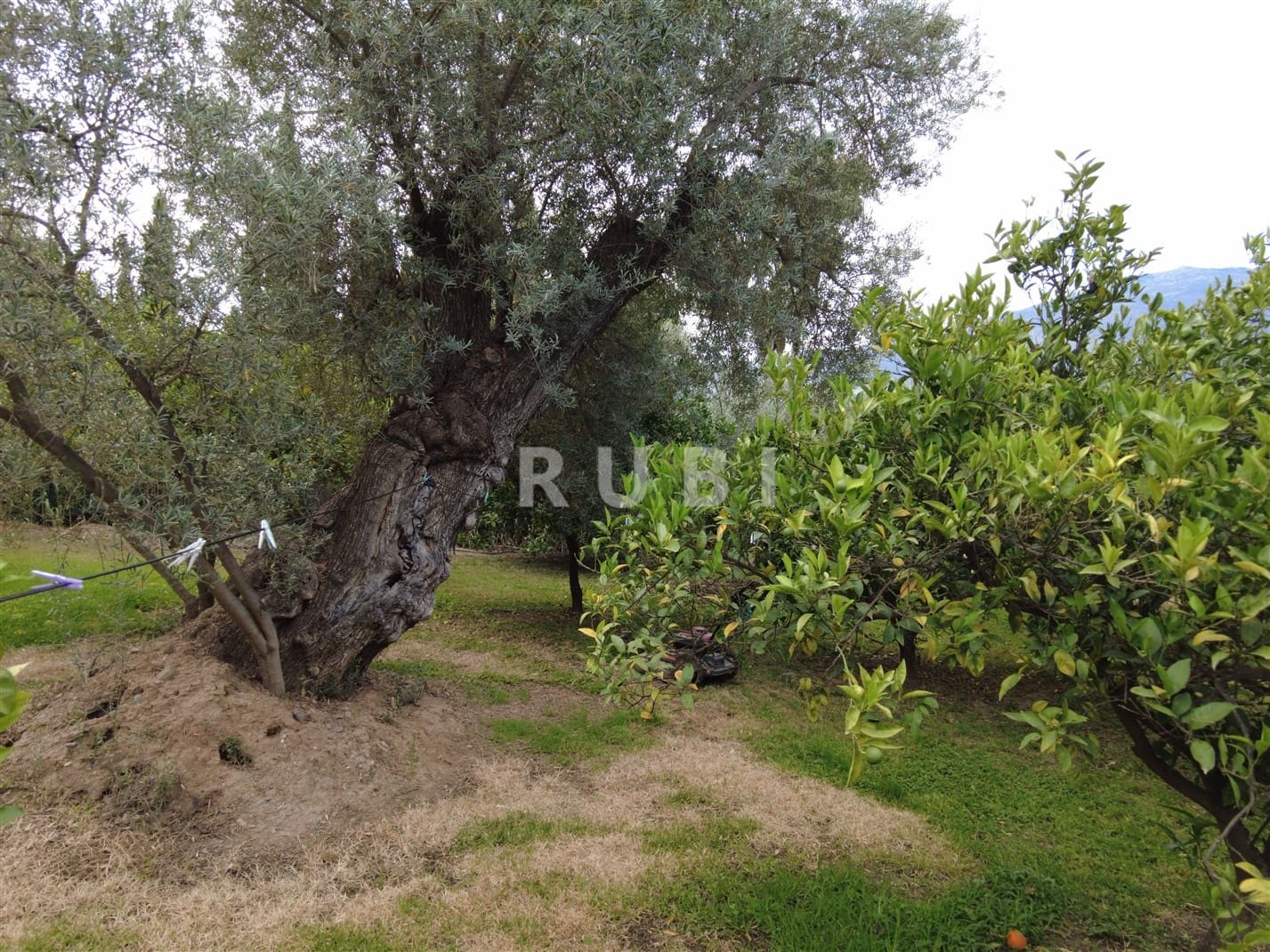 5 bedroom Finca/Country House for sale in Orgiva with pool garage - € 450,000 (Ref: 7660014)