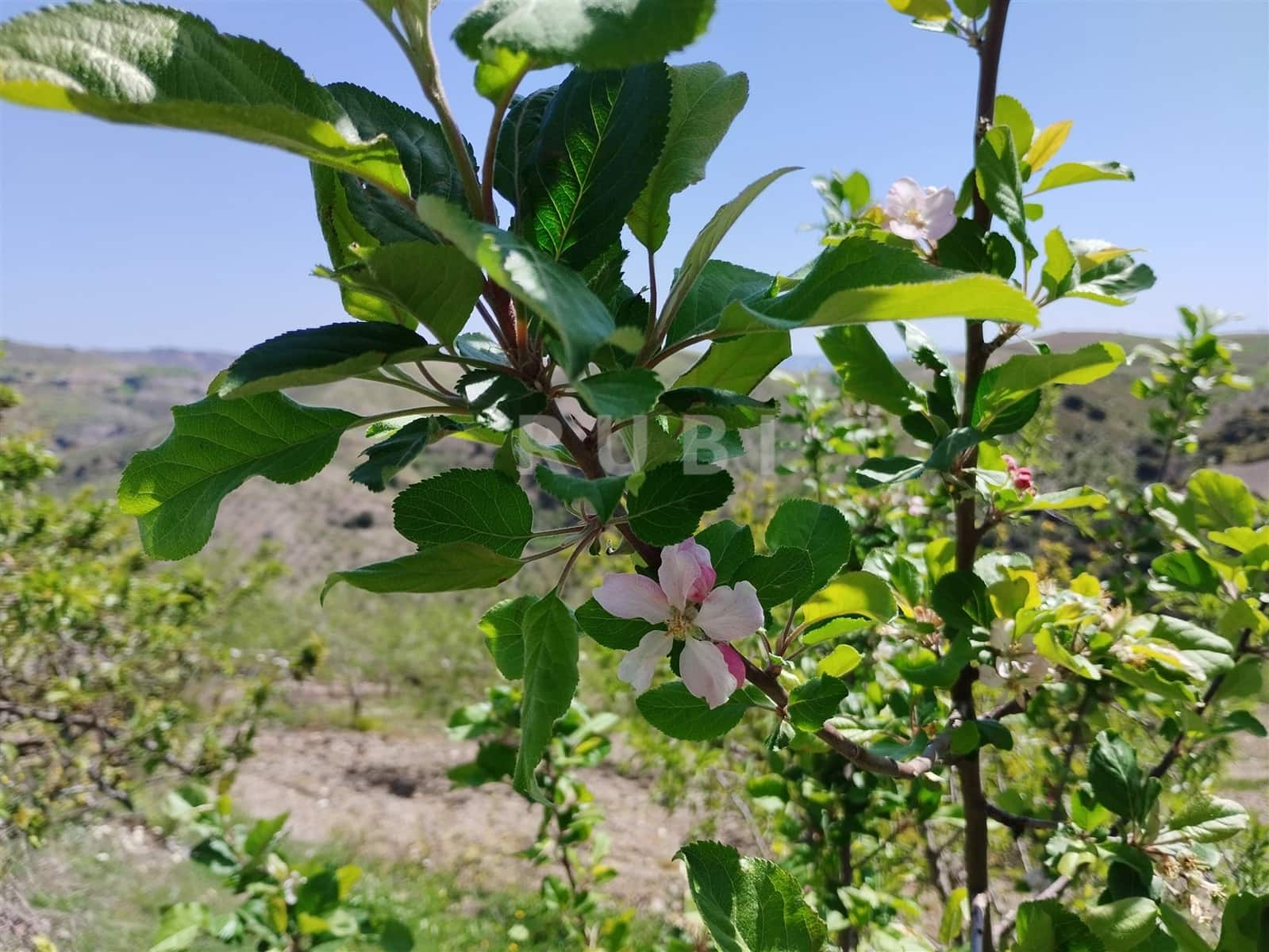 3 soverom Finca/Herregård til salgs i Torvizcon med garasje - € 145 000 (Ref: 8223225)