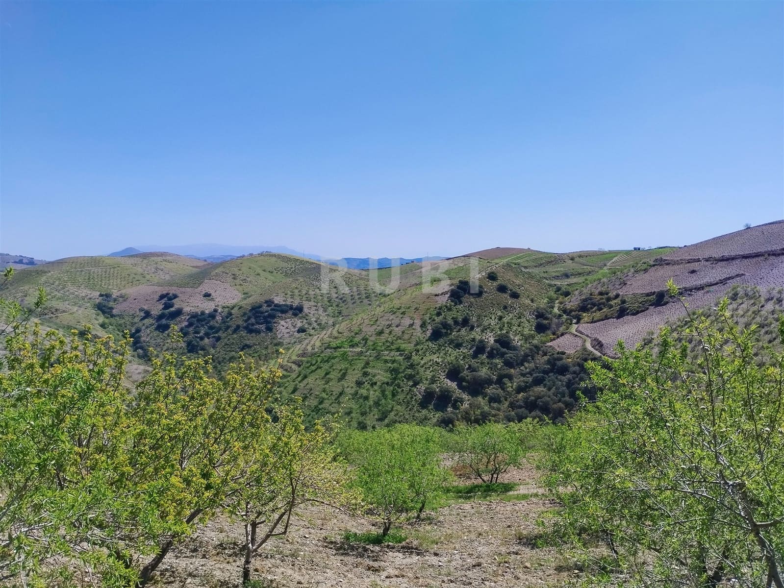 3 soverom Finca/Herregård til salgs i Torvizcon med garasje - € 145 000 (Ref: 8223225)