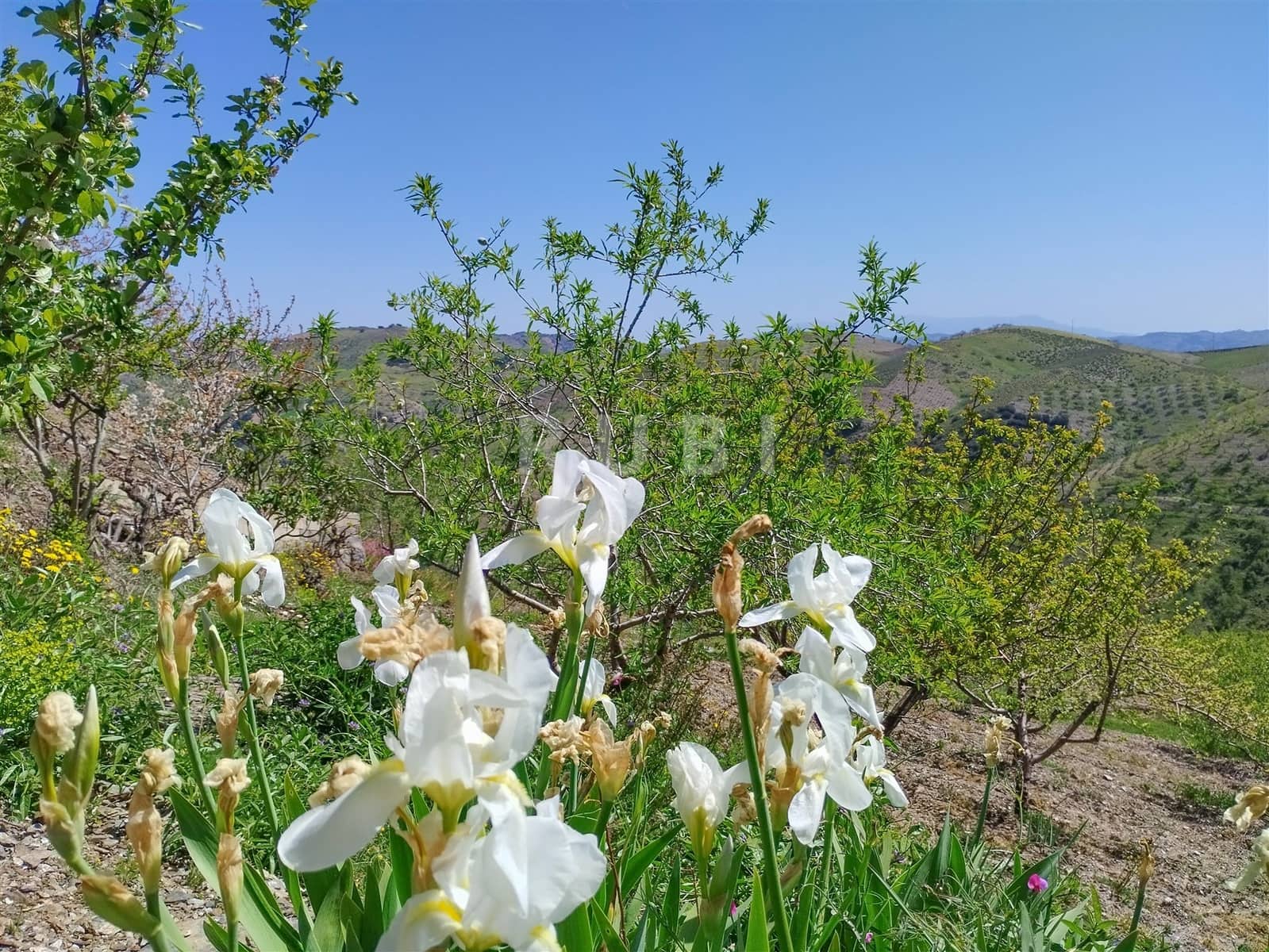 3 soverom Finca/Herregård til salgs i Torvizcon med garasje - € 145 000 (Ref: 8223225)