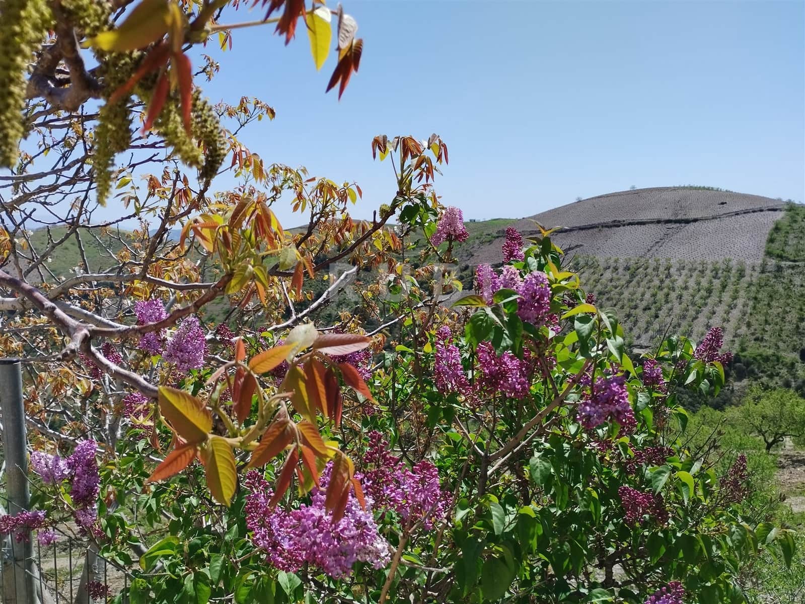 3 soverom Finca/Herregård til salgs i Torvizcon med garasje - € 145 000 (Ref: 8223225)