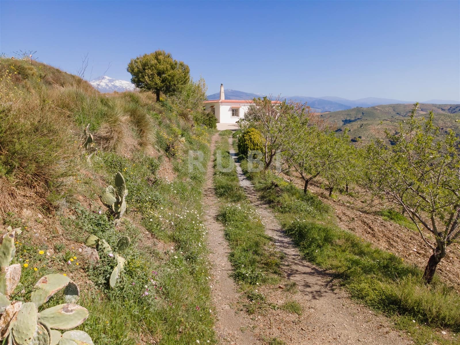 3 soverom Finca/Herregård til salgs i Torvizcon med garasje - € 145 000 (Ref: 8223225)