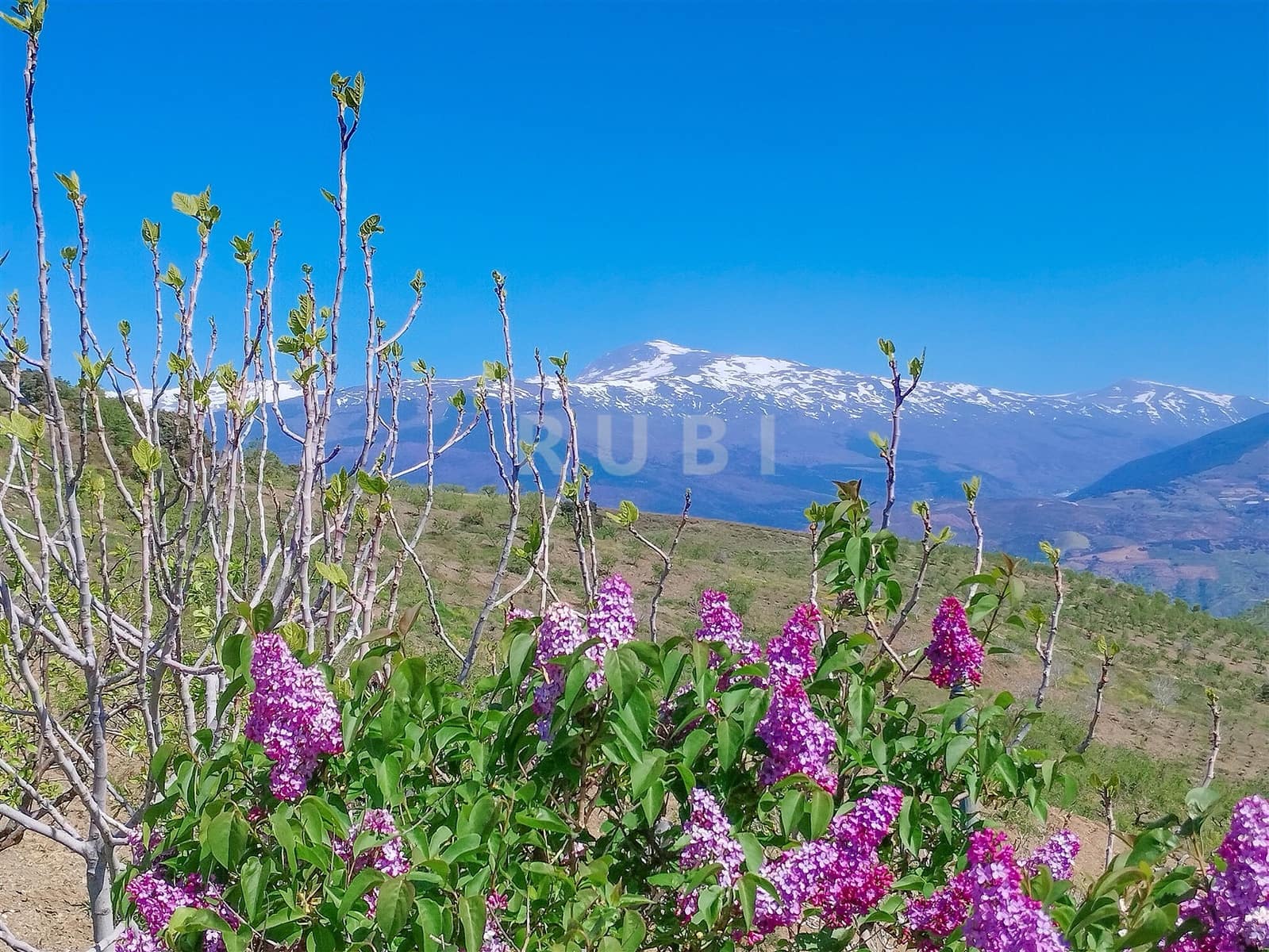 3 soverom Finca/Herregård til salgs i Torvizcon med garasje - € 145 000 (Ref: 8223225)