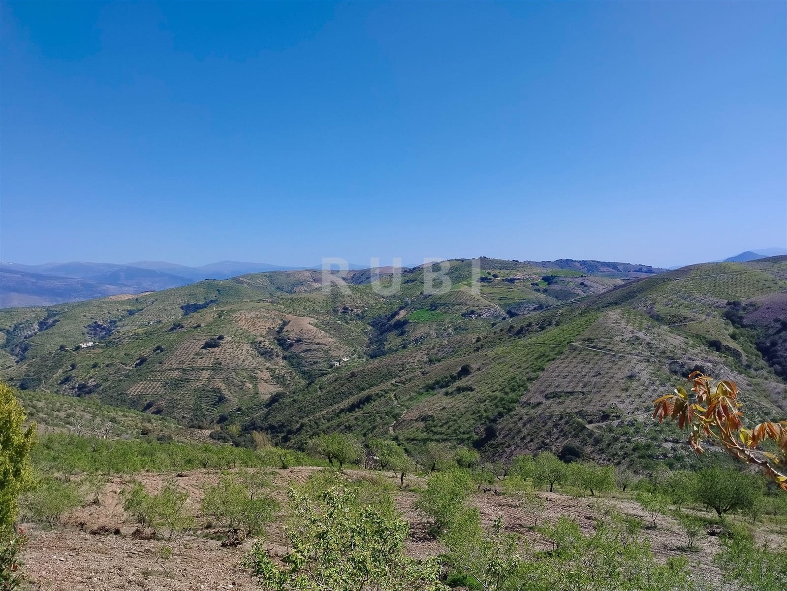 3 soverom Finca/Herregård til salgs i Torvizcon med garasje - € 145 000 (Ref: 8223225)