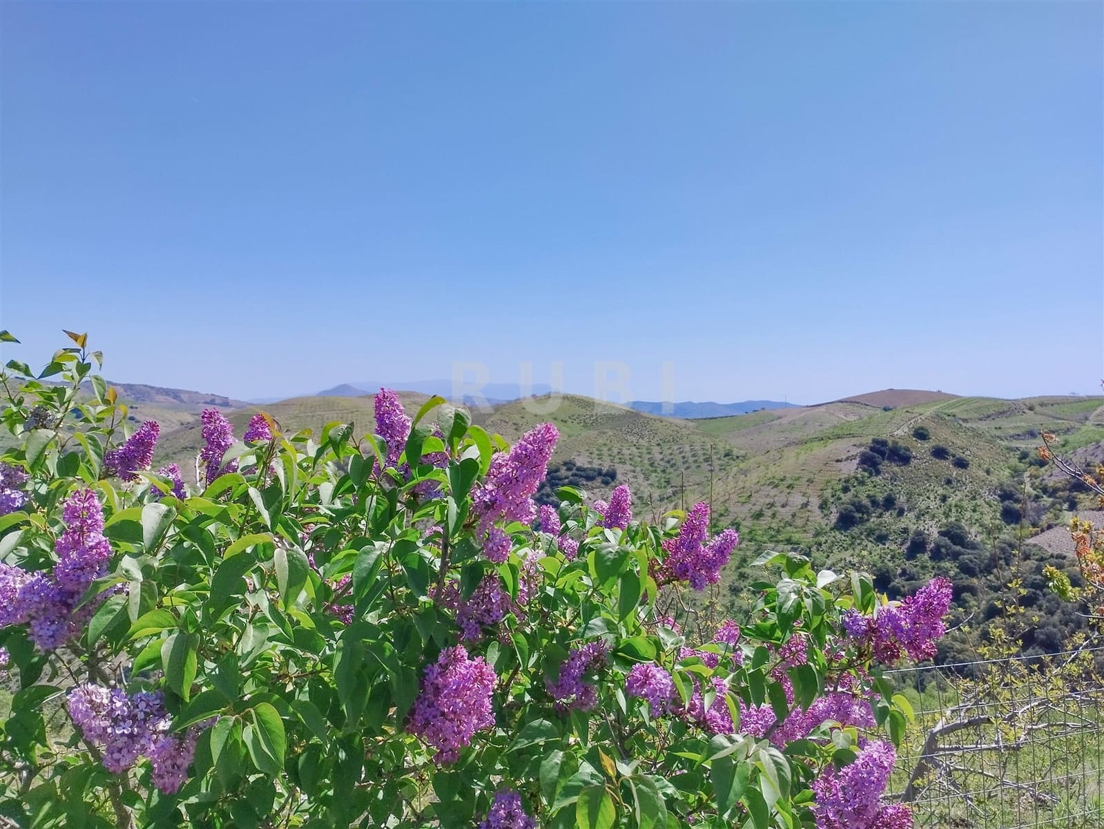 3 soverom Finca/Herregård til salgs i Torvizcon med garasje - € 145 000 (Ref: 8223225)