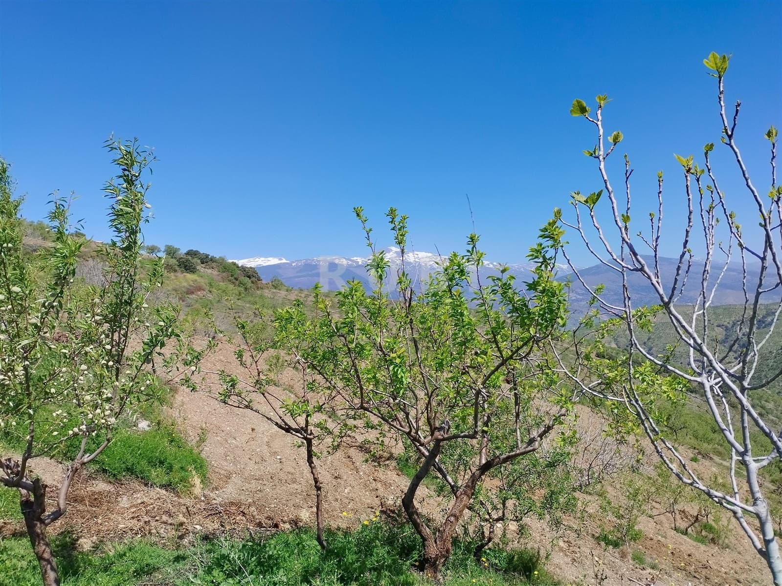 3 soverom Finca/Herregård til salgs i Torvizcon med garasje - € 145 000 (Ref: 8223225)