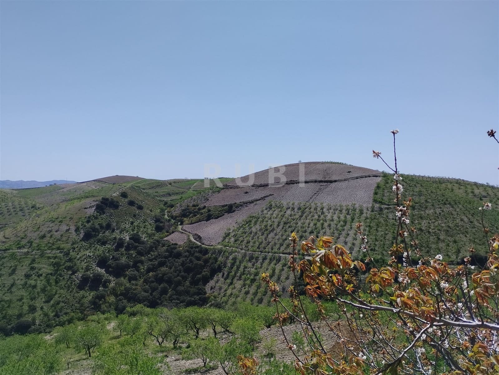 3 soverom Finca/Herregård til salgs i Torvizcon med garasje - € 145 000 (Ref: 8223225)