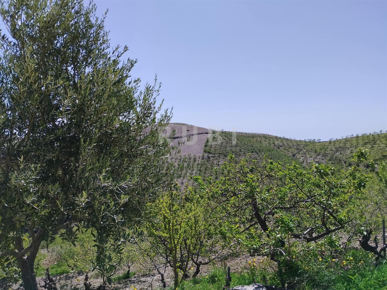 3 soverom Finca/Herregård til salgs i Torvizcon med garasje - € 145 000 (Ref: 8223225)