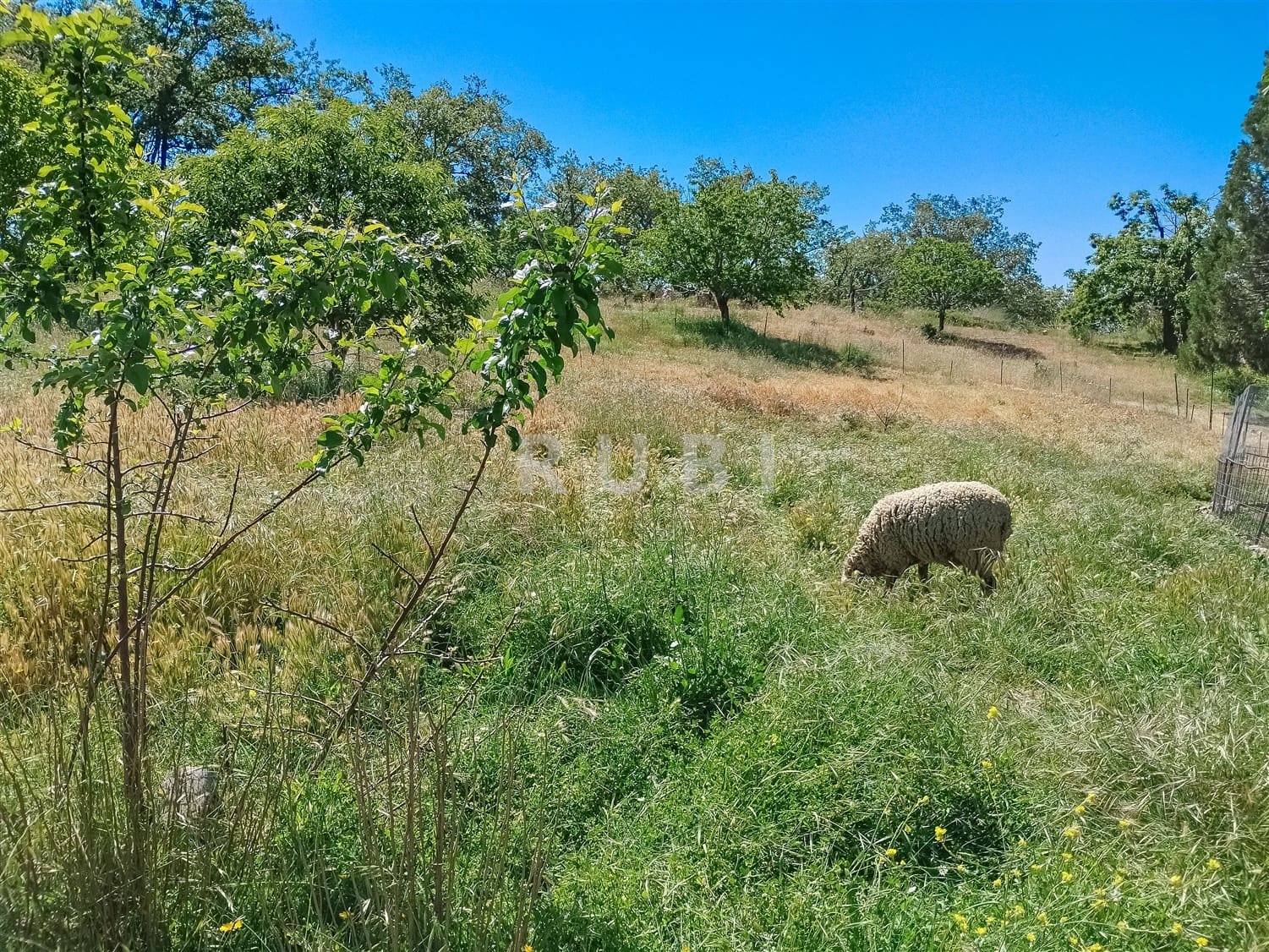 3 soverom Finca/Herregård til salgs i Canar med garasje - € 385 000 (Ref: 8361913)