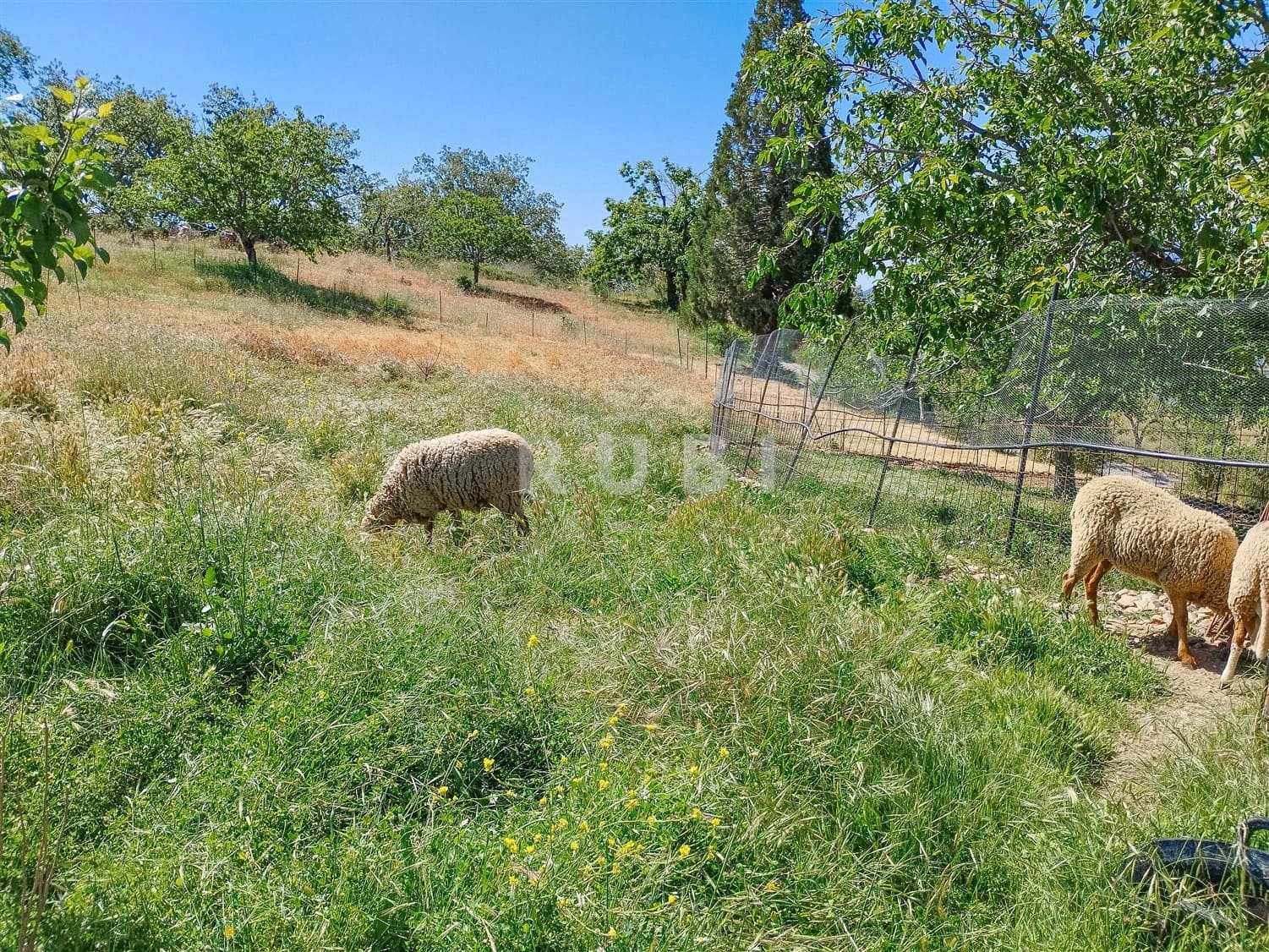 3 soverom Finca/Herregård til salgs i Canar med garasje - € 385 000 (Ref: 8361913)