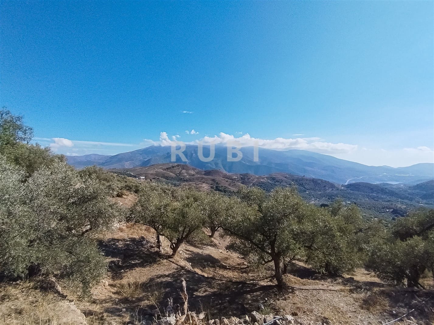 3 Zimmer Finca/Landgut zu verkaufen in Lanjaron - 160.000 € (Ref: 8609263)