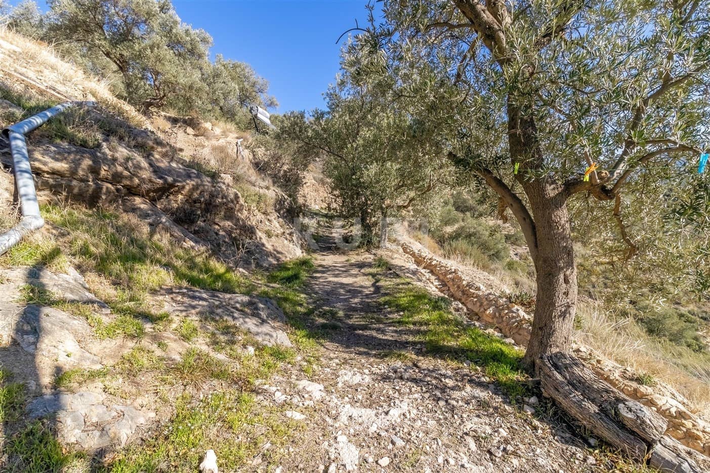 4 chambre Finca/Maison de Campagne à vendre à Lanjaron avec piscine garage - 480 000 € (Ref: 8754781)