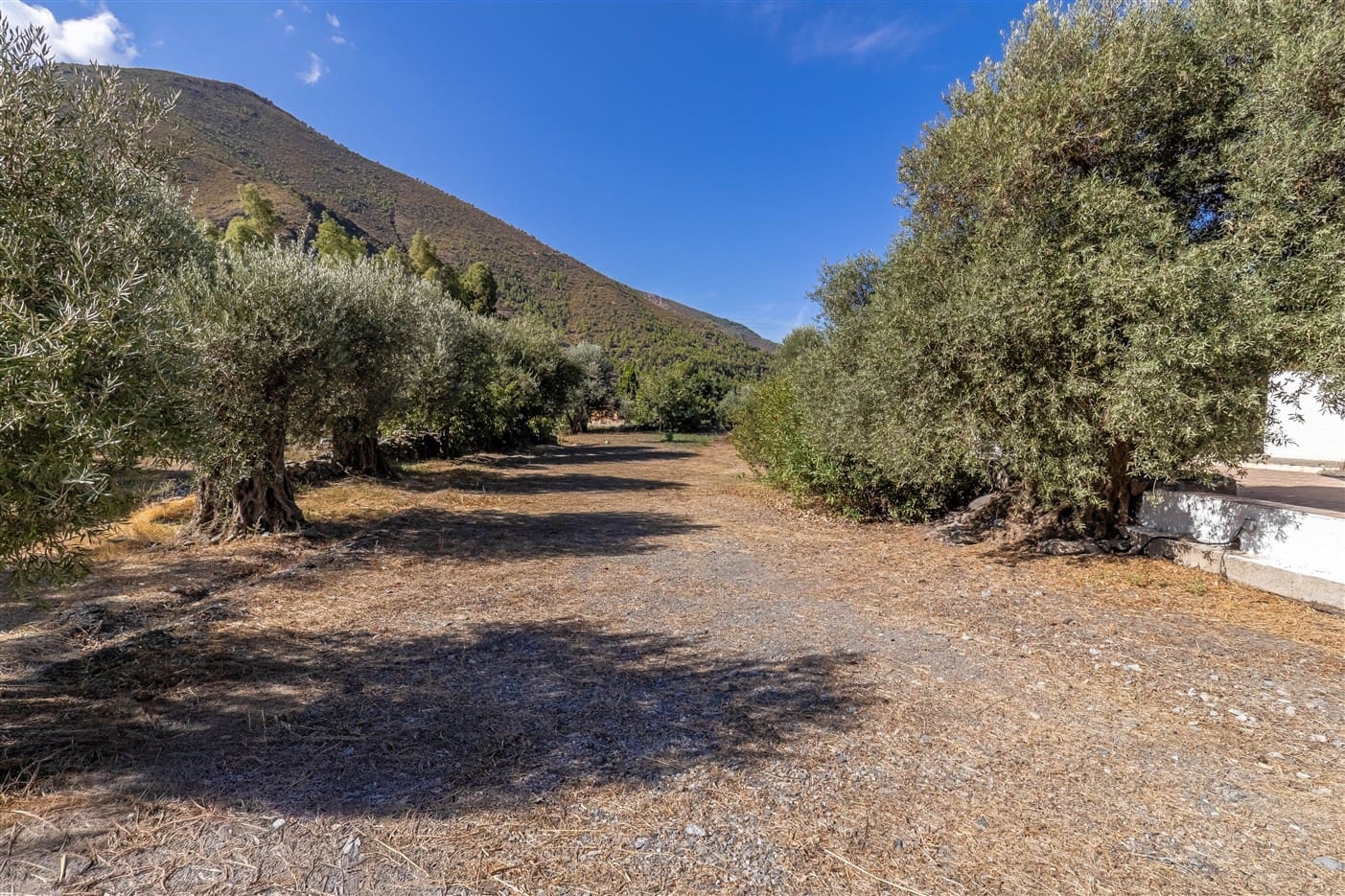 3 bedroom Finca/Country House for sale in Orgiva - € 300,000 (Ref: 9269218)