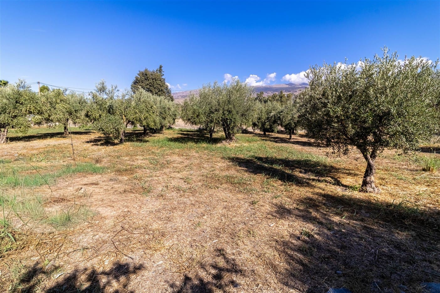 3 bedroom Finca/Country House for sale in Orgiva - € 300,000 (Ref: 9269218)