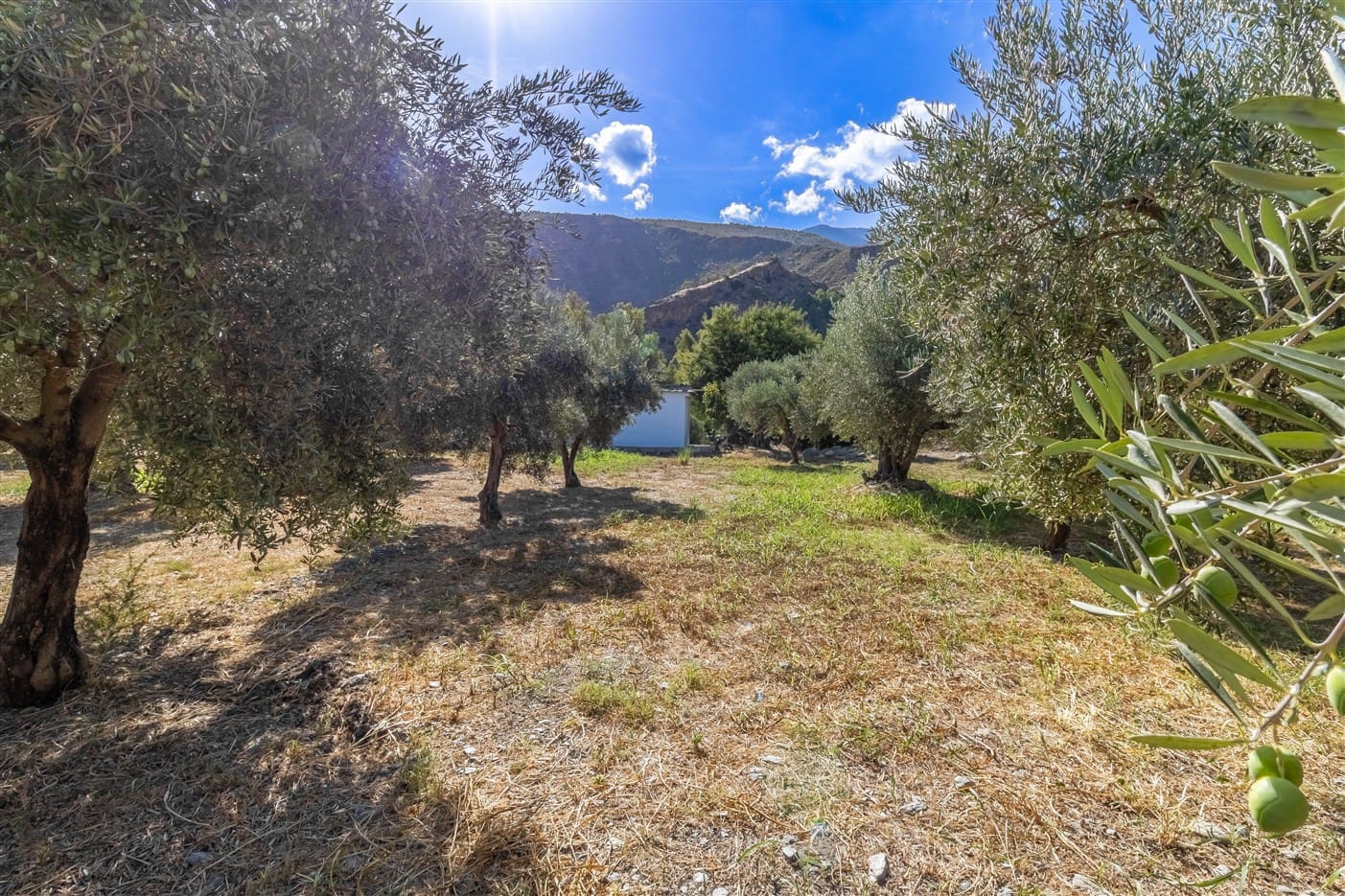 3 bedroom Finca/Country House for sale in Orgiva - € 300,000 (Ref: 9269218)