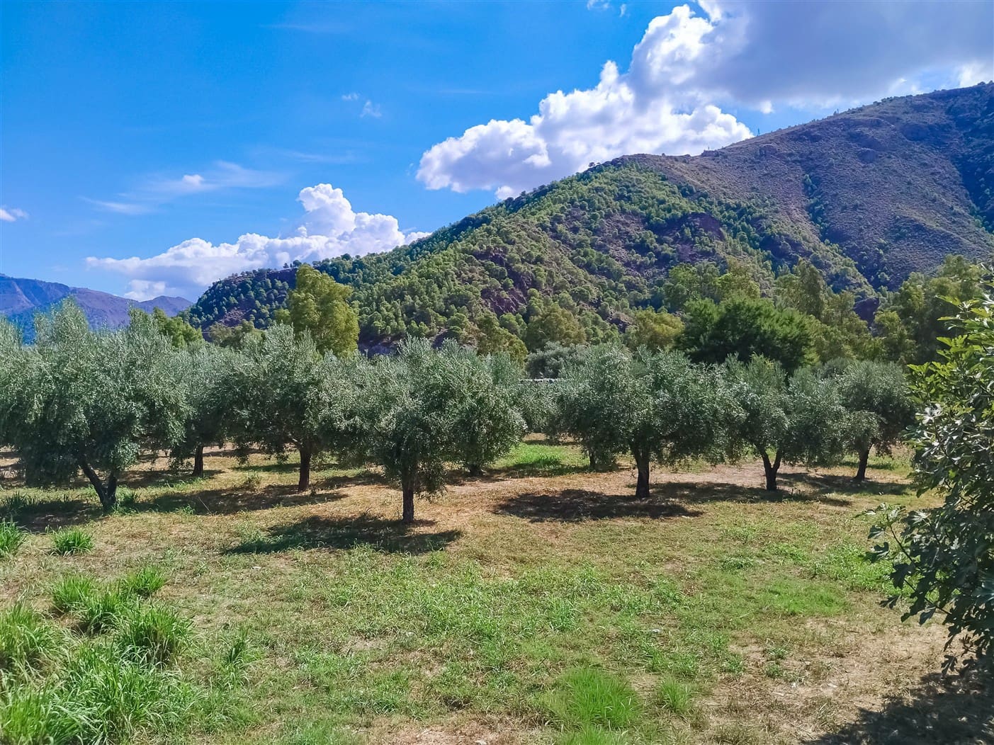 3 bedroom Finca/Country House for sale in Orgiva - € 300,000 (Ref: 9269218)