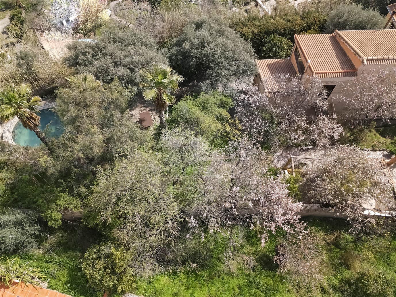 4 chambre Finca/Maison de Campagne à vendre à Orgiva avec piscine garage - 420 000 € (Ref: 9618975)