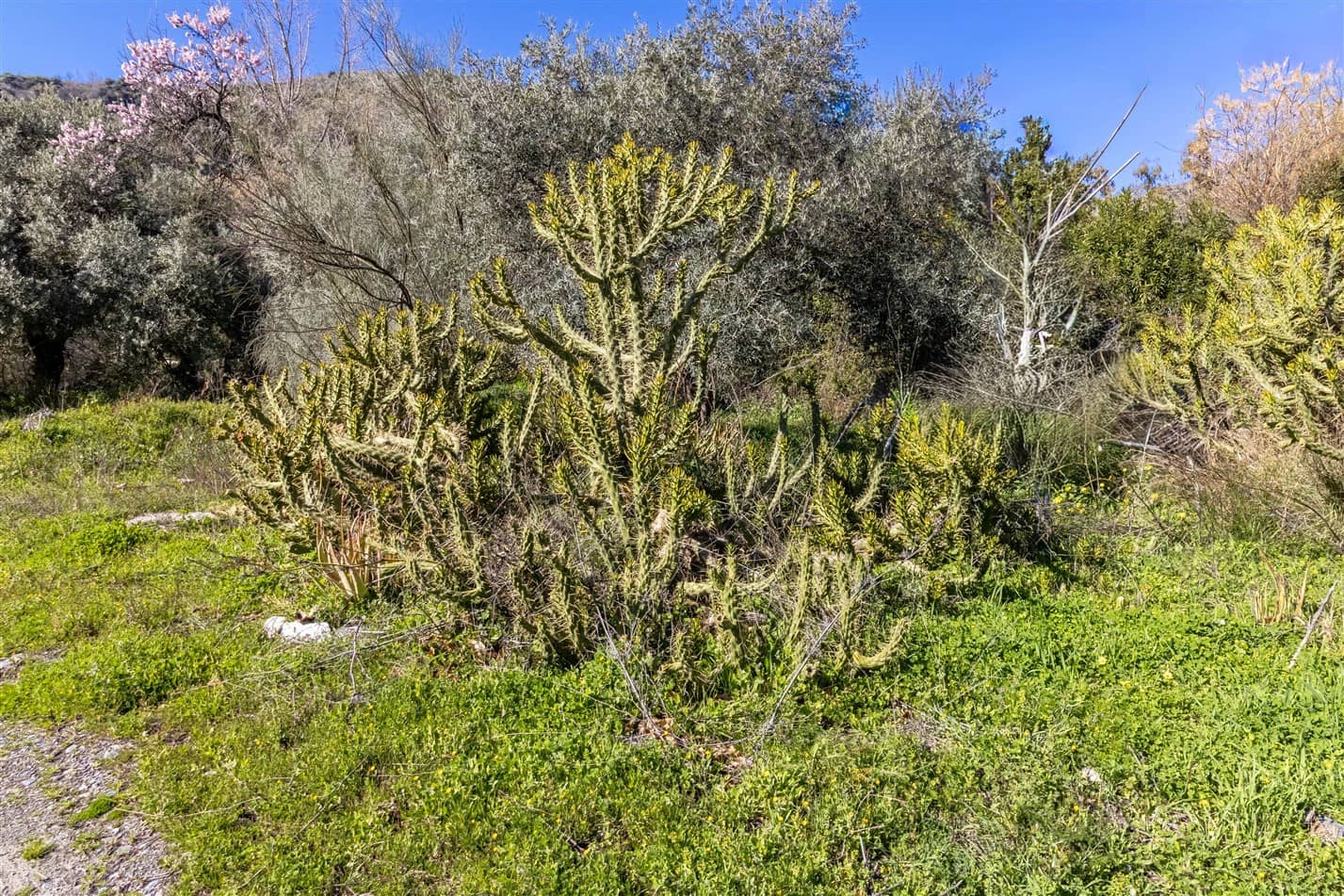 2 soverom Finca/Herregård til salgs i Orgiva med garasje - € 150 000 (Ref: 9671198)