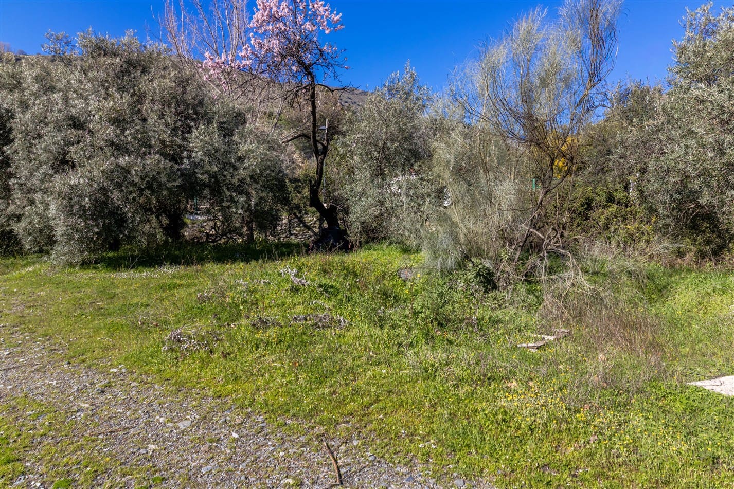 2 soverom Finca/Herregård til salgs i Orgiva med garasje - € 150 000 (Ref: 9671198)