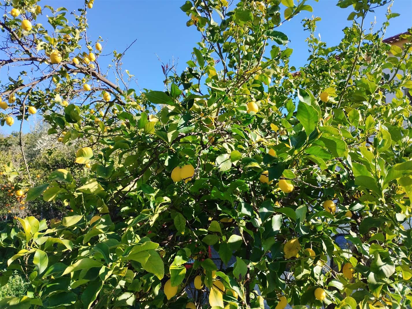 2 soverom Finca/Herregård til salgs i Orgiva med garasje - € 150 000 (Ref: 9671198)