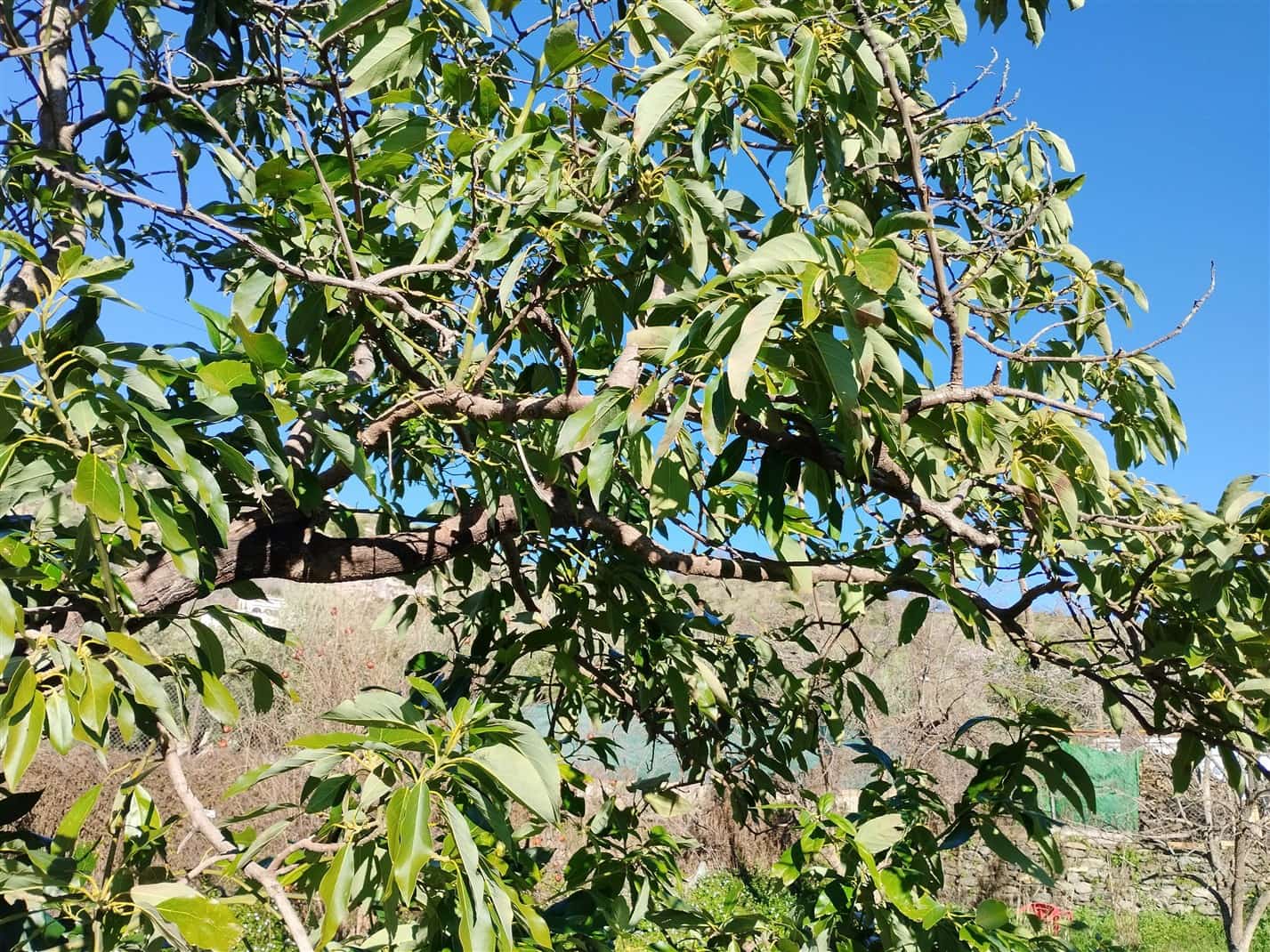 2 soverom Finca/Herregård til salgs i Orgiva med garasje - € 150 000 (Ref: 9671198)