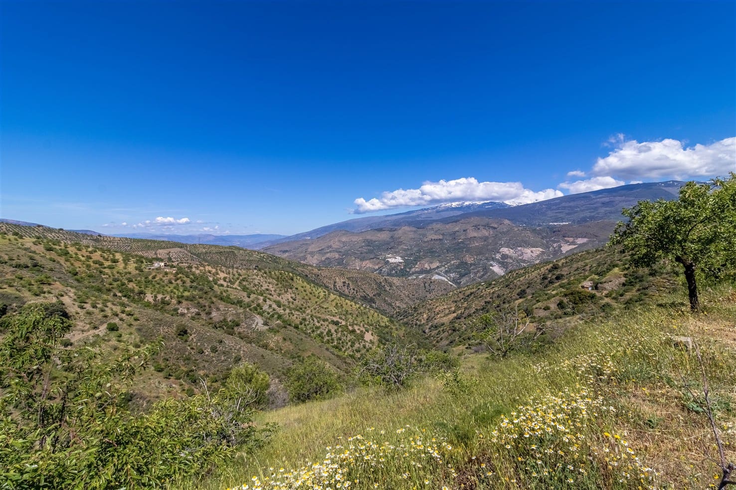 10 soveværelse Finca/Landehus til salg i Almegijar med garage - € 100.000 (Ref: 9805797)