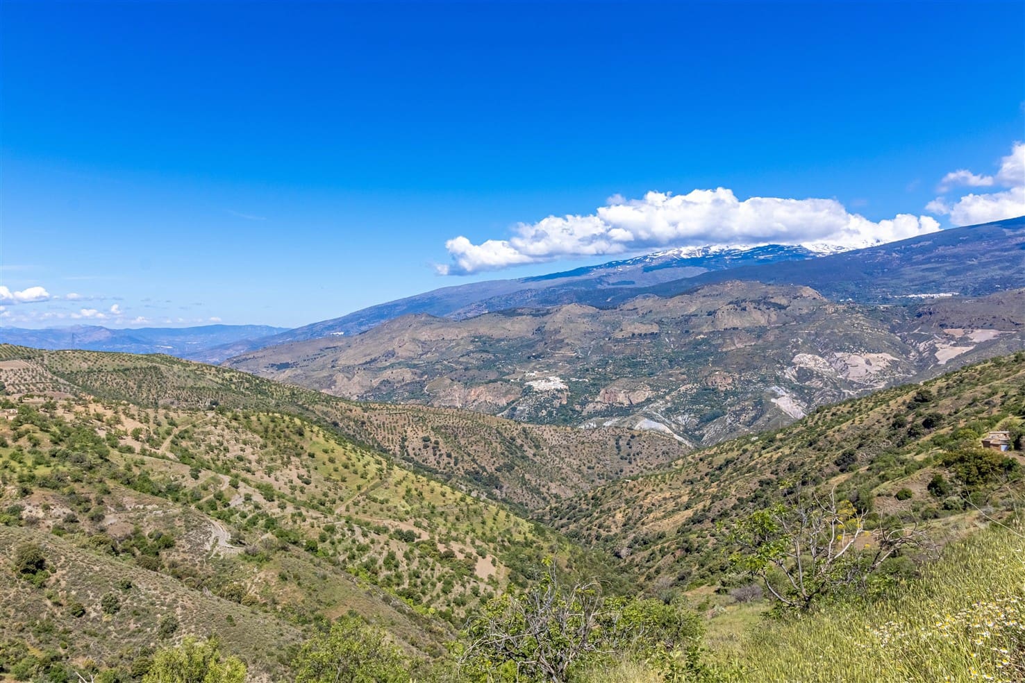 10 soveværelse Finca/Landehus til salg i Almegijar med garage - € 100.000 (Ref: 9805797)