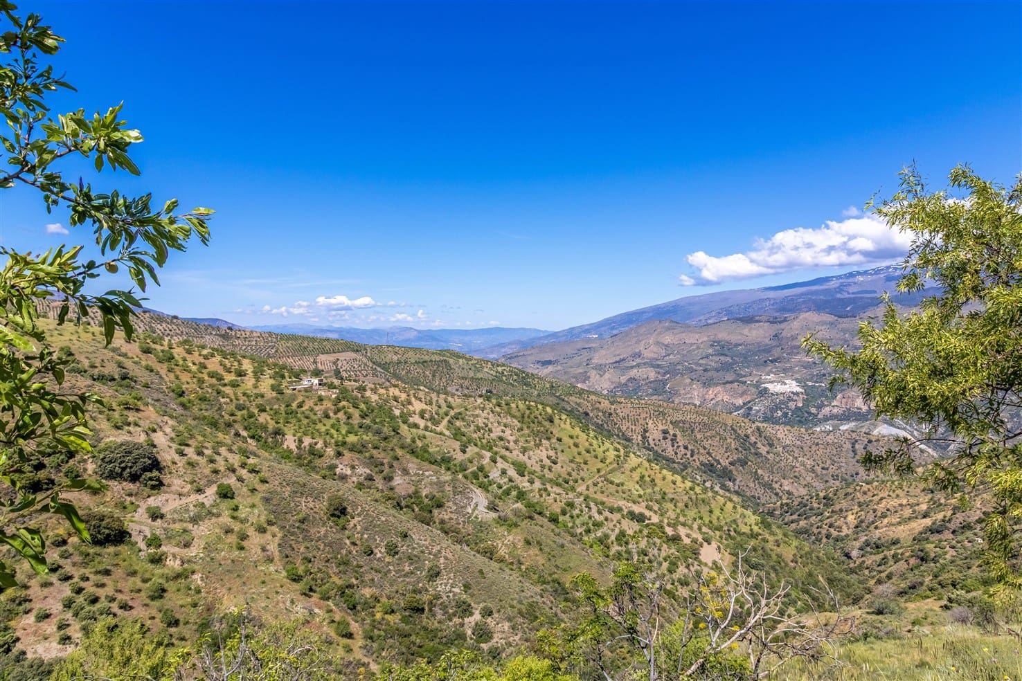 10 soveværelse Finca/Landehus til salg i Almegijar med garage - € 100.000 (Ref: 9805797)