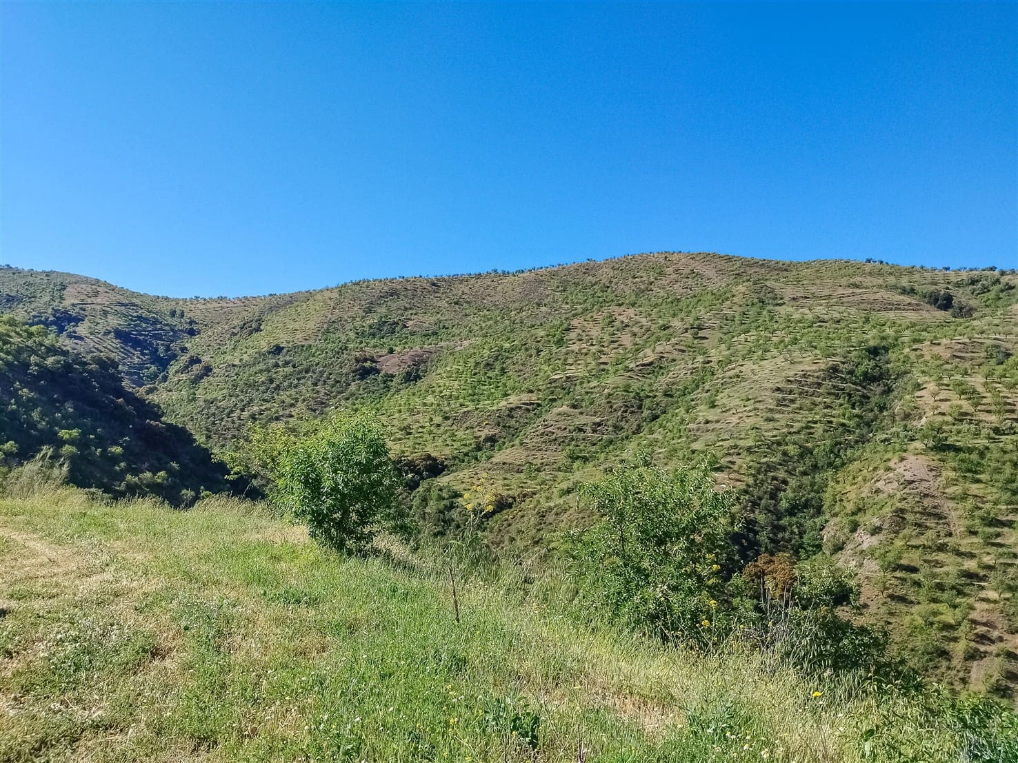 10 soveværelse Finca/Landehus til salg i Almegijar med garage - € 100.000 (Ref: 9805797)