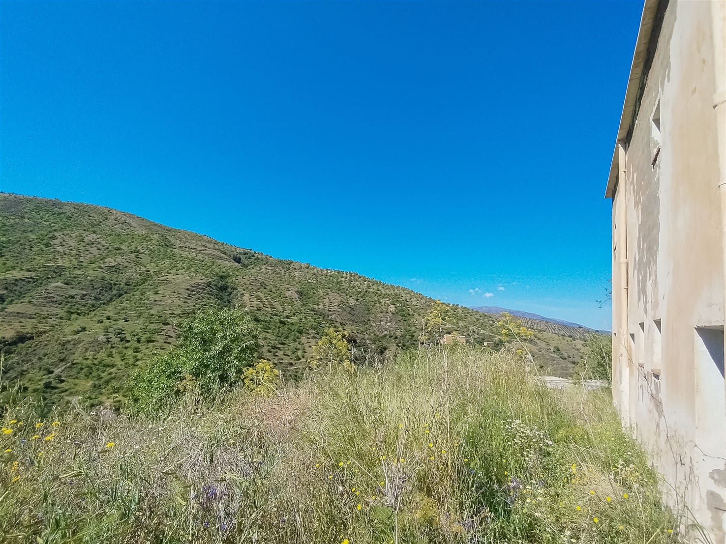 10 soveværelse Finca/Landehus til salg i Almegijar med garage - € 100.000 (Ref: 9805797)