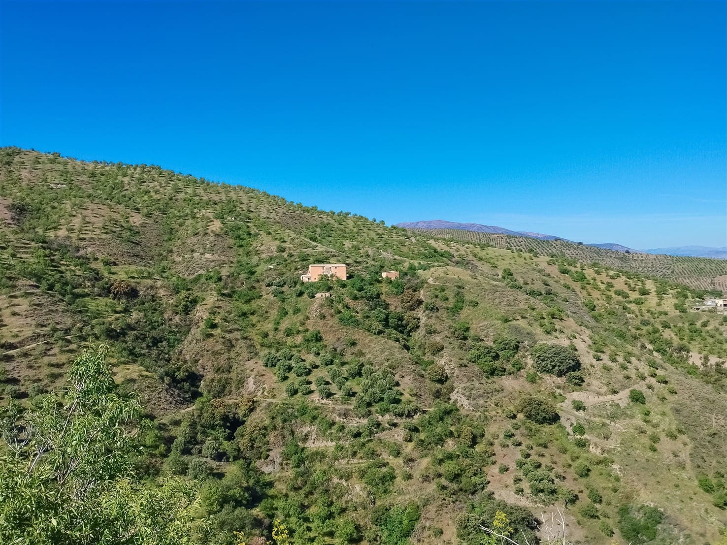 10 soveværelse Finca/Landehus til salg i Almegijar med garage - € 100.000 (Ref: 9805797)