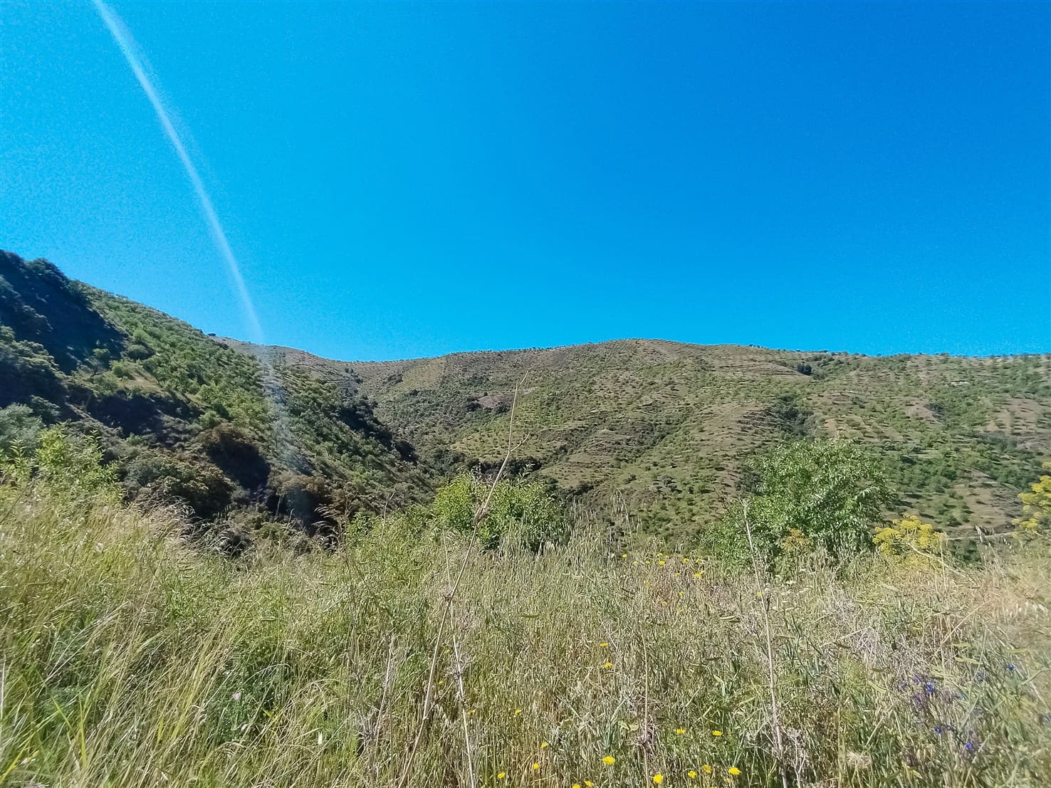 10 soveværelse Finca/Landehus til salg i Almegijar med garage - € 100.000 (Ref: 9805797)