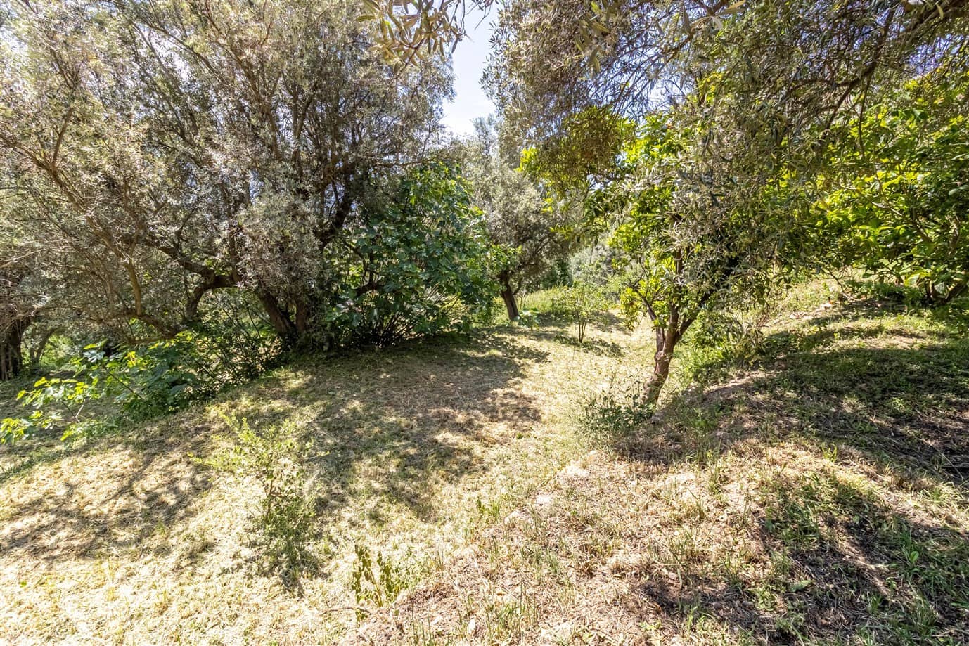 2 bedroom Finca/Country House for sale in Lanjaron with pool garage - € 265,000 (Ref: 9844582)